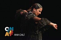 /album/fotogaleria-finalistas/anacali-jpg1/