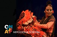 /album/fotogaleria-finalistas/mercedes-jpg1/